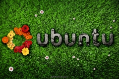 ubuntu_desktop_nature